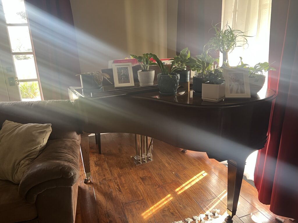 img_3760 - Steve Macias