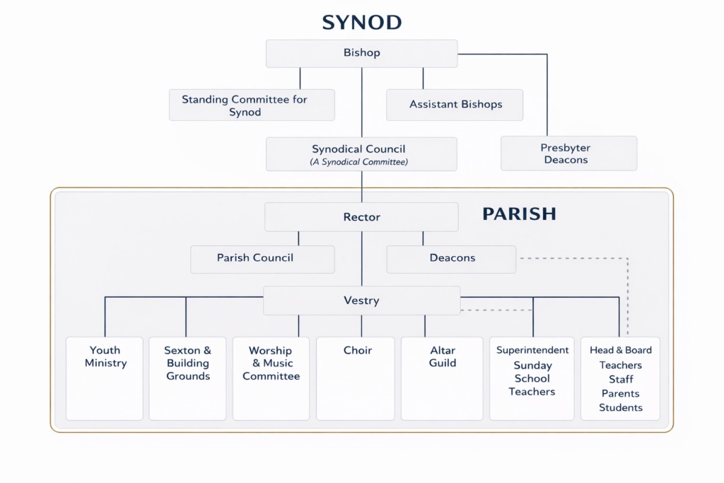 Org Chart Synod Diocese - Steve Macias